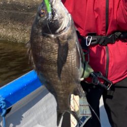 春のインショアシーバス