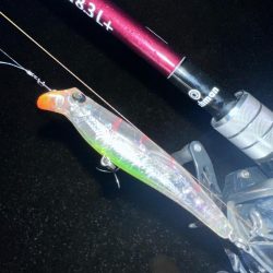 悶絶からの至福のシーバスフィッシング！