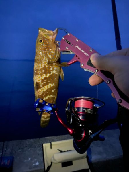 ライトゲーム五目　in養老