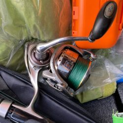 朝マズメのカマス釣りで10匹GET