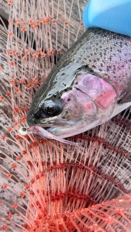 サーモン/脈釣り