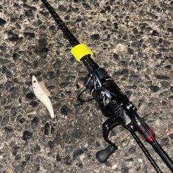 3キャッチ4バラシ😑