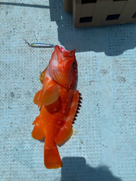 伝馬で沖にでました