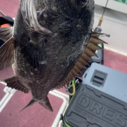 3ヶ月ぶりの釣行(インショア)