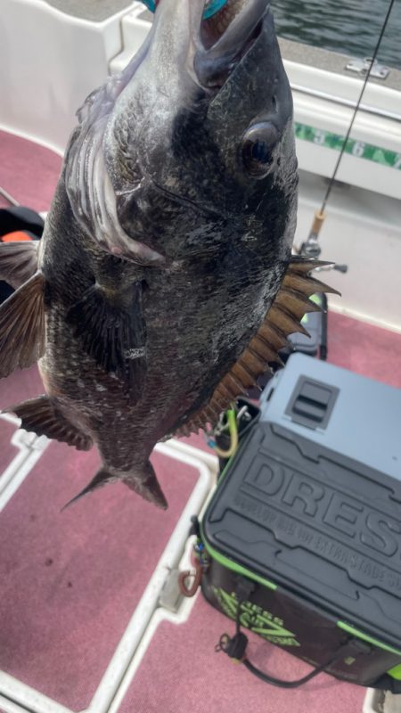 3ヶ月ぶりの釣行（インショア）