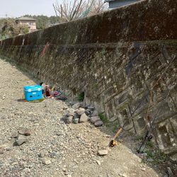 久しぶりのエリアニジマス