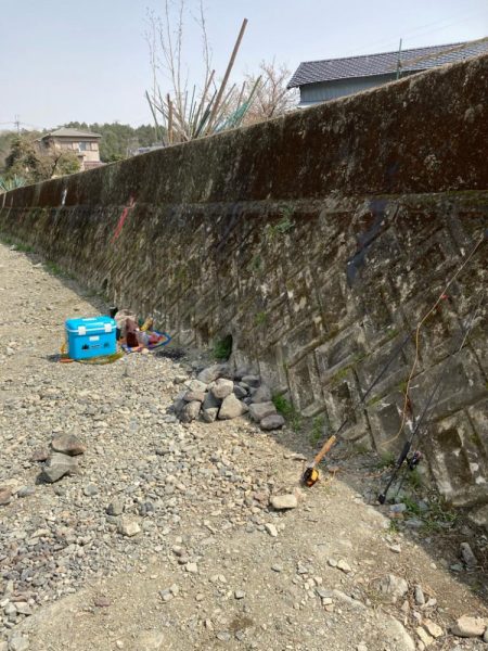 久しぶりのエリアニジマス