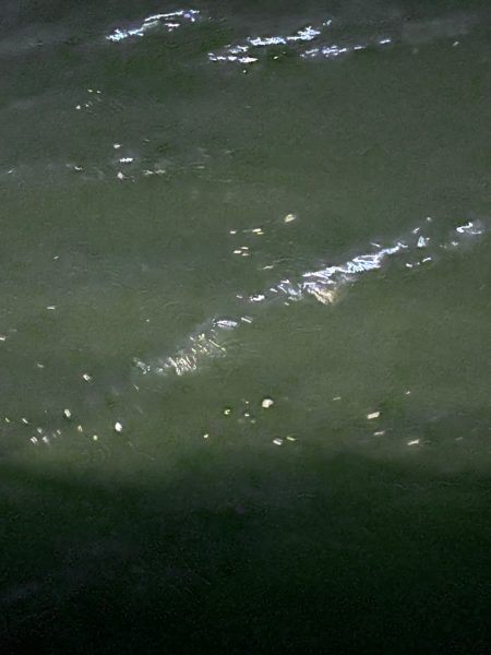 おるのはおるけど〜ポツポツ!