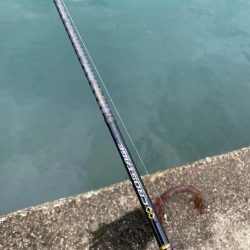 アジング前のエギング