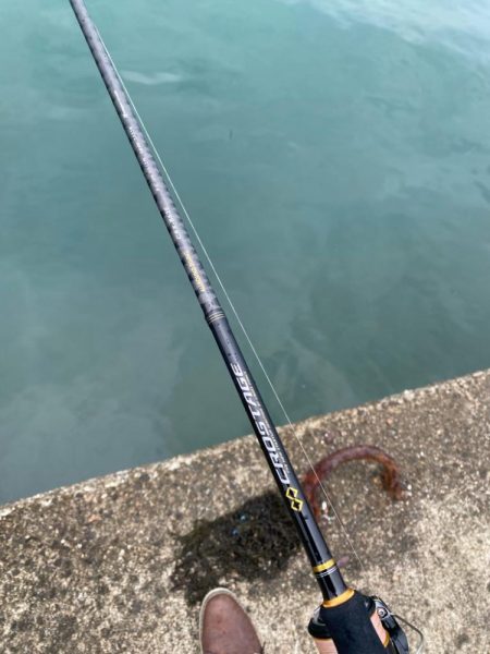 アジング前のエギング