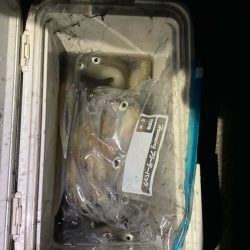 今週末も行ってきました！