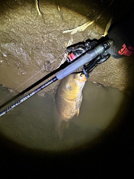 ボトムのカーピング！