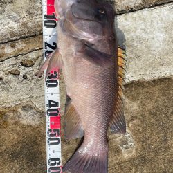 ようやく今年初投稿