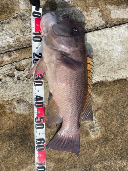 ようやく今年初投稿