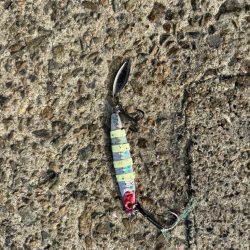 悩ましいところ…