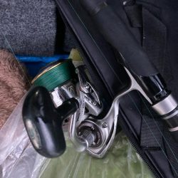 朝マズメのカマス釣りで2匹GET