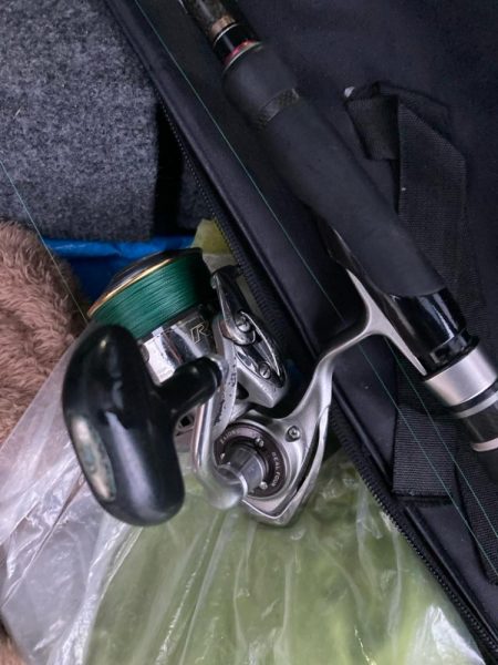 朝マズメのカマス釣りで2匹GET