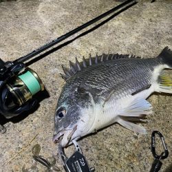 淀川ブリームゲーム