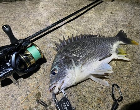 淀川ブリームゲーム