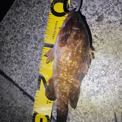 シーズン開幕✌️