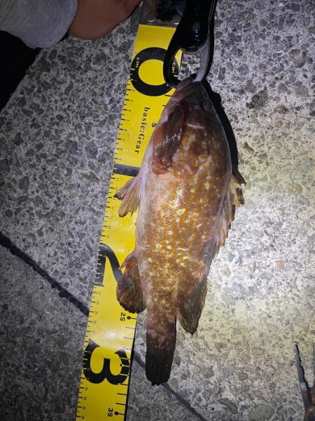 シーズン開幕✌️