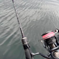 サーフ?絡みの堤防