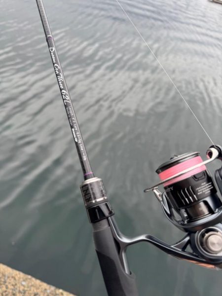 サーフ?絡みの堤防