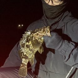 深夜ライトゲーム②