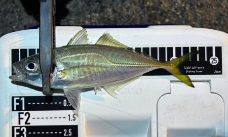 数はまだまだやな〜！