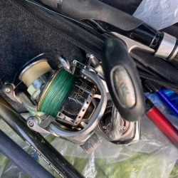 朝マズメのカマス釣りで7匹GET