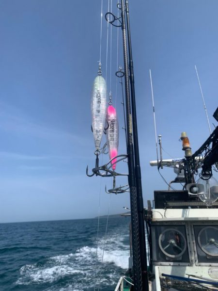 ヒラマサキャスティング