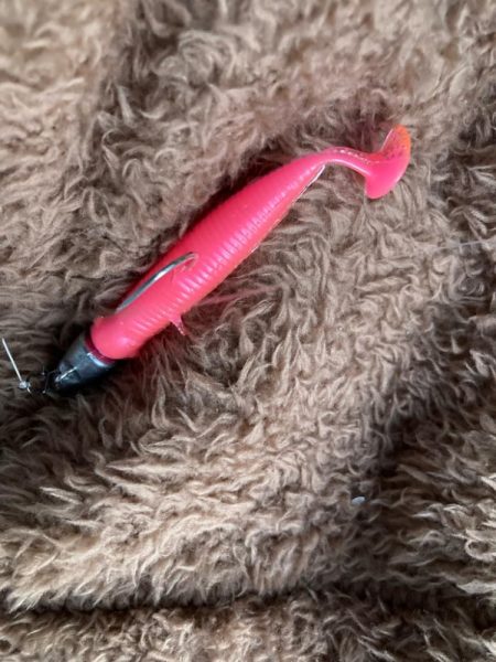 朝マズメのカマス釣りで10匹GET