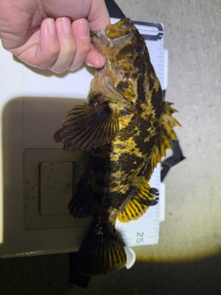 惜しくも尺届かず!!