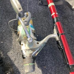 朝の投げサビキでアジ狙い