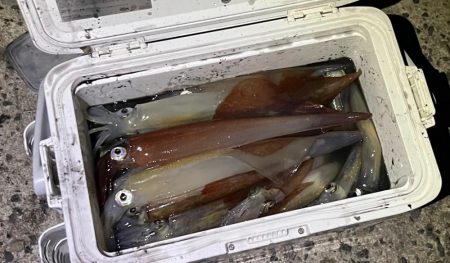 初めての3桁٩( ᐛ )و