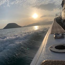 ヒラマサキャスティング