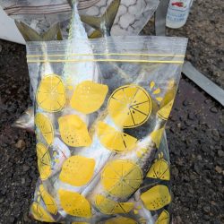 淡路島メガフロート