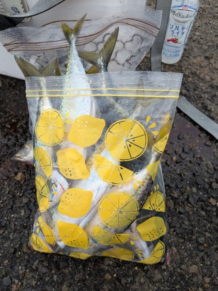 淡路島メガフロート