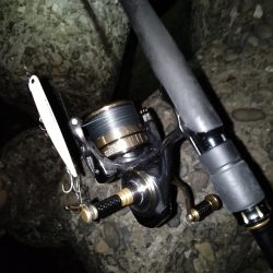 ランカーキャッチ♪