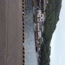 アジ探し@下津周辺