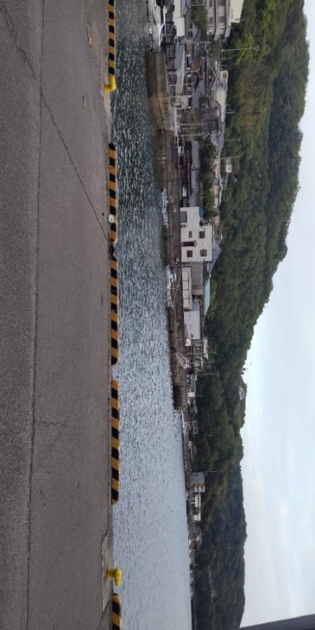 アジ探し@下津周辺