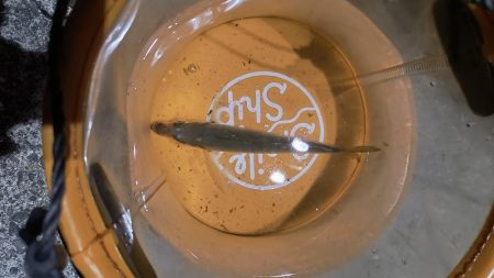 新しいロッドで初釣行☆