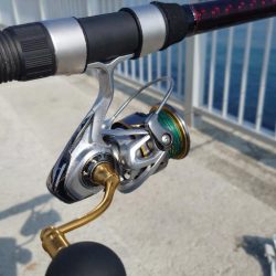 カゴ釣り 2 (嬉しいゲスト)