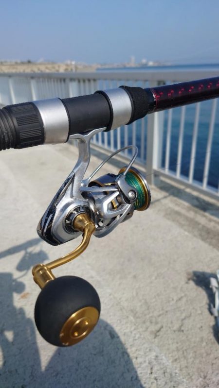 カゴ釣り 2 (嬉しいゲスト)