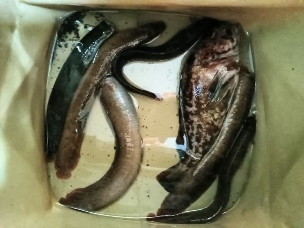 ちょい穴釣り〜大磯〜