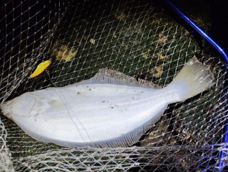 シーバスあかんかったけど満足