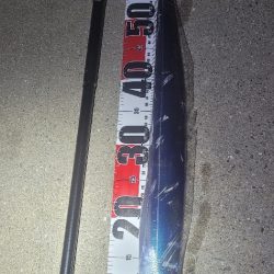 連日の春タチウオresearch