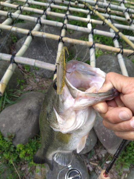 パワーフィネスとサカマタで3本