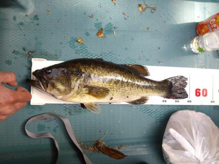 パワーフィネスで50up