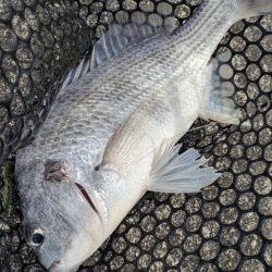 春爆チニングin呉